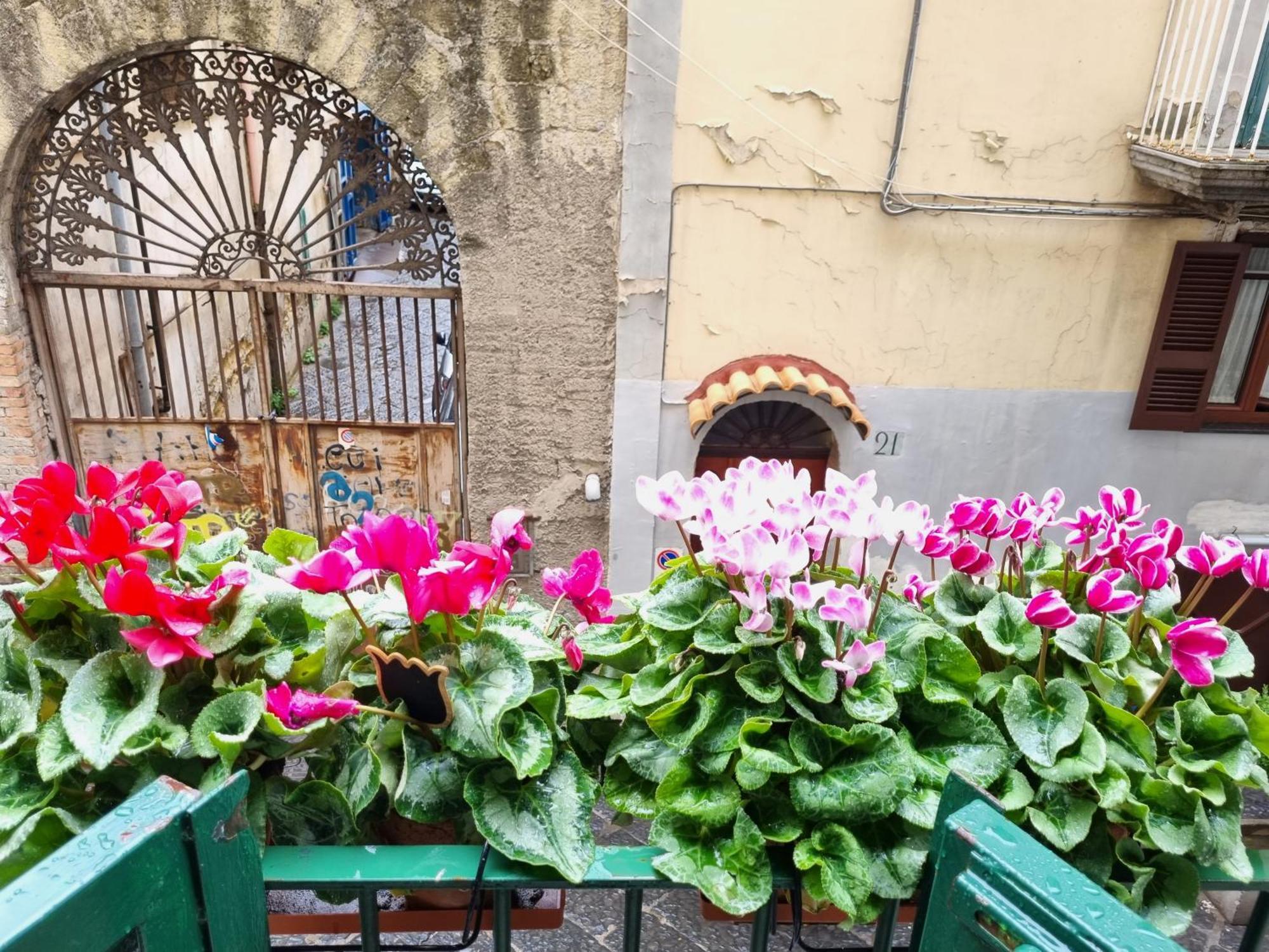 La Casa Di Domi Apartment Napoli Bagian luar foto